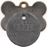 Patsy Ann dog license and tag